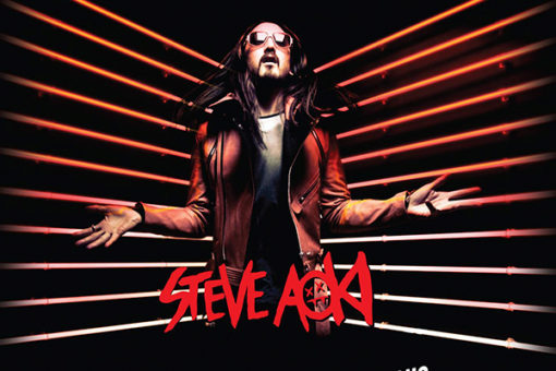 Steve Aoki Madness 1